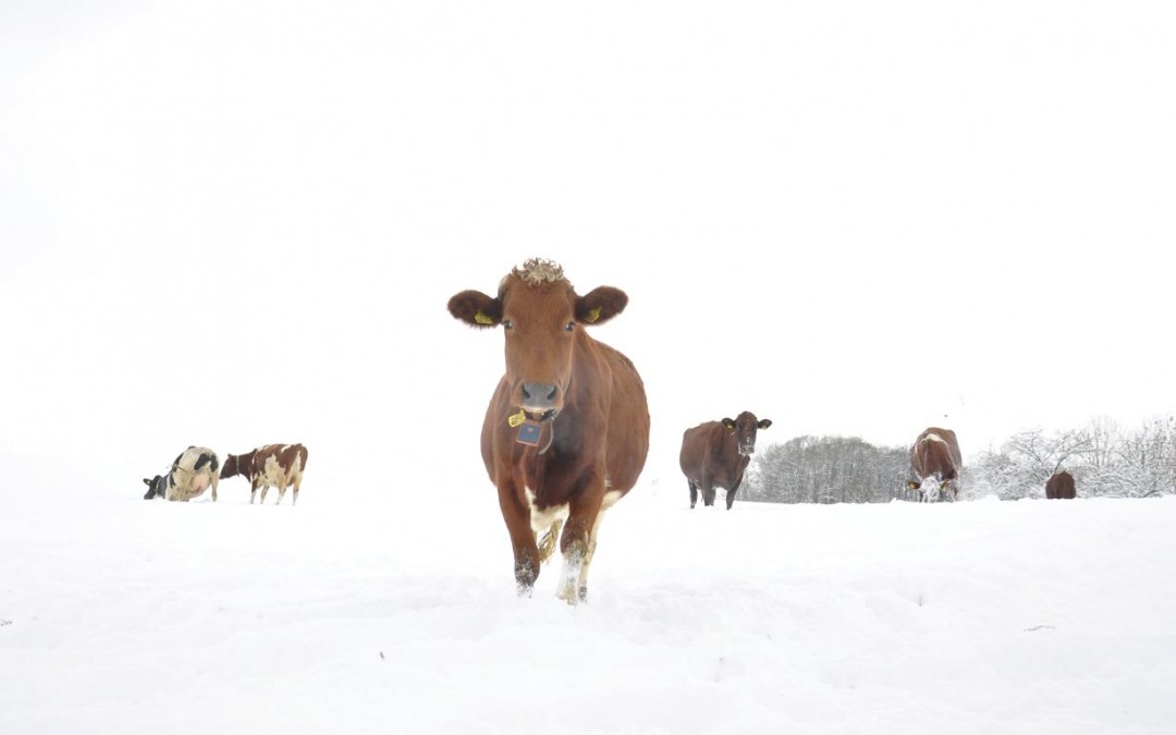 Winterferien 2024