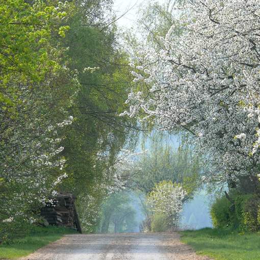 Wege zum Kellerwaldhof