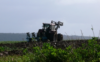 Landwirtschaft auf dem Kellerwaldhof