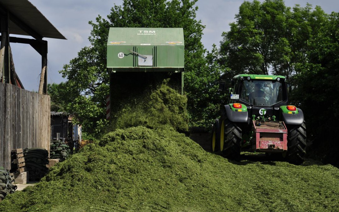 Haufenweise Gras