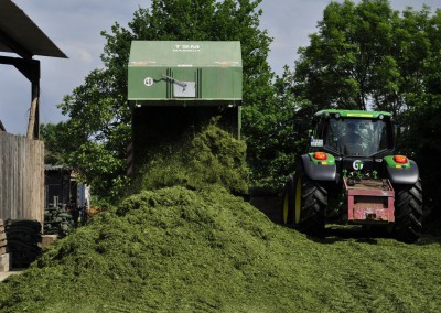 Haufenweise Gras