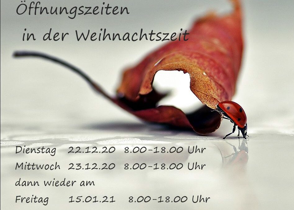 Weihnachten 2020