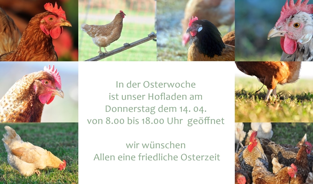 Öffnungszeiten Ostern 2022